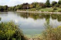 Zdjęcie do artykułu: Brampton: Etobicoke Creek Trail