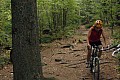 Zdjęcie do artykułu: Trasa Bikemaratonu w Polanicy
