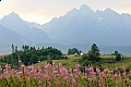 Zdjęcie do artykułu: Tatry Słowackie: okolice Tatrzańskiej Łomnicy