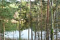 Zdjęcie do artykułu: Sulechów - Grabin -Gryżyna -Sulechów