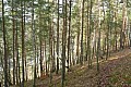 Akwen wodny "po lewej" z innego ujęcia