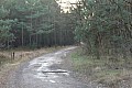 Zdjęcie do artykułu: Sulechów - Międzylesie -Sulechów