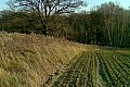 Zaorana ścieżka - czarny szlak turystyczny