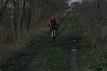 polne w pobliżu Pawłowic