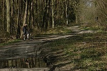 Las Malin - cel podróży