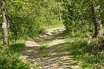 Zjazd z Chełmca - wygląda łagodniej niz jest naprawdę