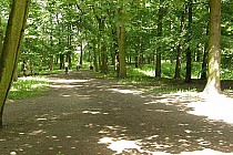 Park Grabiszyński