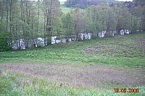 Rzeka Bukowina pod Oskowem.