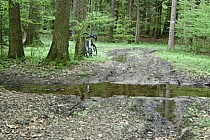 na zielonym szlaku w drodze do Wielkiej Lipy