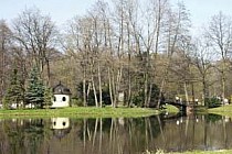 Herbaciarnia w parku pszczyńskim (fot. D. Skrobol)