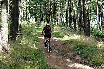 Mgła znikła i pozostał ostatni podjazd