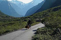 Gamle Strynfjellvegen