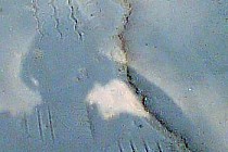 Ścieżka jest dziurawa, a po  samochodach, które tu stały w słoneczny dzień pozostają wgłębienia w asfalcie.