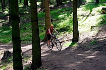 Najfajnieszy odcinek - przez las na masyw Trójgarba