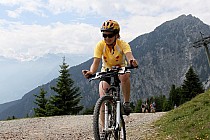 Drzewa szybko się kończą