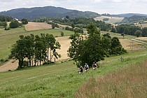 Prowadzący na pierwszym okrążeniu zawodnicy na początku podjazdu