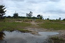 Okolice rzeki Odry :) około 20 km od Zielonej Góry