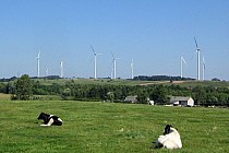 fot. Malwina i Michał Barej