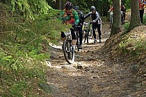 Żółty szlak turystyczny pełny kamieni i korzeni / fot. Joanna Tomes