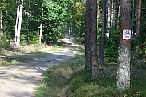 Oznakowana ścieżka rowerowa - kolor czerwony