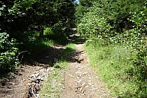 podjazd na Przełęcz Pod Chłopkiem