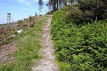 niebieski szlak pieszy wzdłuż Rezerwatu Śnieżnika