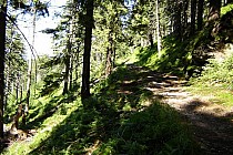 niebieski szlak pieszy wzdłuż Rezerwatu Śnieżnika