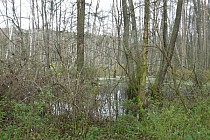 To samo rozlewisko tylko z innego ujęcia :)