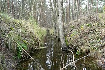 Pierwsze utrudnienie :) przejazd przez małą rzeczkę :)