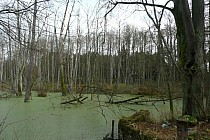 I następny akwen wodny - po przejechaniu kolejnych kilkudziesięciu metrów.