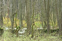 Na ok 5 km przed Przetocznicą - urokliwe rozlewsiko.