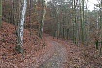 Wjazd na "Teren prywatny"