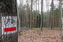 Czerwony szlak rowerowy - Przetocznica - Grabin