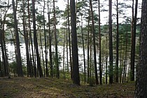 Akwen wodny "po lewej"