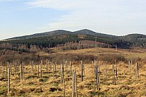 ..i widok z tej samej ścieżki w stronę Masywu Trójgarba