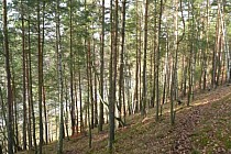 Akwen wodny "po lewej" z innego ujęcia