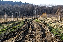 Początek zielonego szlaku w stronę Chełmca, błotniste koleiny