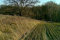 Zaorana ścieżka - czarny szlak turystyczny