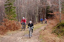 Jesienią w okolicach Trójgarba