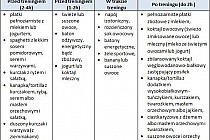 Tabela 2: Zalecane posiłki przed, w trakcie i po treningu / źródło "Żywienie w sporcie" Anita Bean