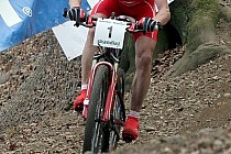 Marek Galiński / fot. www.foto.ziolo.eu