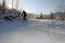 Zimowy wypad w lasy Trójgarbu