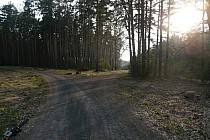 Tu wyjedziemy jadąc prosto na rozwidleniu.