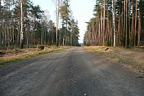 Droga godna polecenia :)