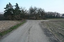 Skręcamy w lewo (Skręcając w prawo - wyjedziemy na Kruszynie)