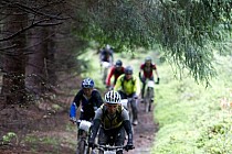 Zjazd z Góry Borówkowej - łatwiejszy fragment (fot. galeria mtbmaraton.com)