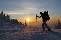 A może narty ski tourowe ?