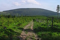 Ze Żmijowca na Śnieżnik