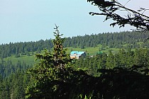 Widok z pod Małego Śnieżnika