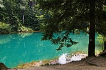 natura zadziwia